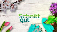 Schnittgut