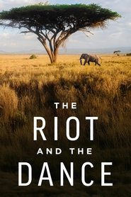 The Riot and the Dance (2024)