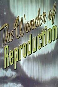 The Wonder Of Reproduction