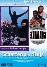 Zwei Supertypen in Miami - Der Schatten des Ninja 1993 Stream Deutsch Kostenlos