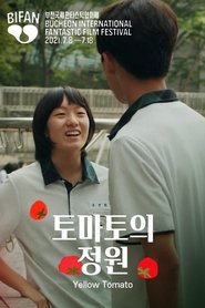 Yellow Tomato (2020)