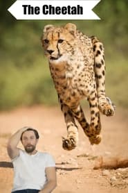 The Cheetah