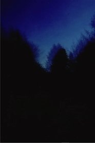 Poster Brouillard #2-12-6 2011