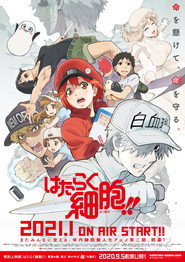 Cells at Work! Cells at Work!! 15
