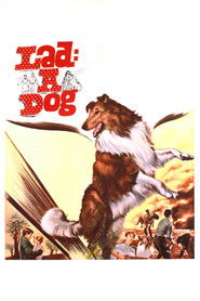 Lad: A Dog