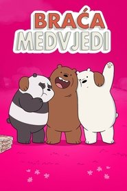 Braća medvjedi