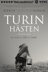 Turinhästen poster watch Turinhästen now