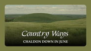 Chaldon Down in June