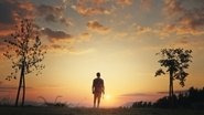 Under a new light en streaming