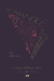 Le Triangle des Bermudes