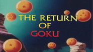 The Return of Goku