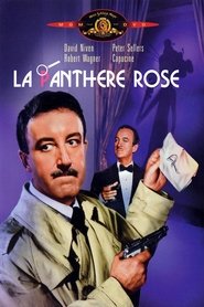 Film La Panthère Rose en streaming