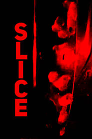 Slice 2022