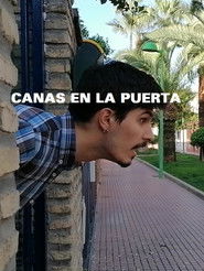 The Door With Grey Hair