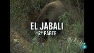 Episode 45