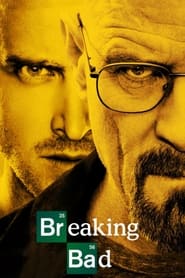 Breaking Bad (2011) Hindi Season 4 Complete