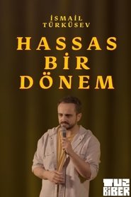 Hassas Bir Dönem - İsmail Türküsev (2023)