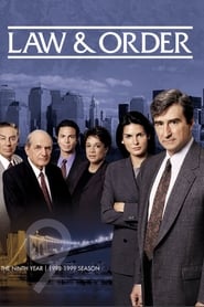 Law & Order: Sezona 9 online sa prevodom