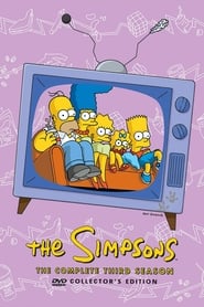 The Simpsons Season 3 Episode 7