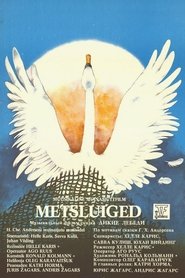 Poster del film The Wild Swans