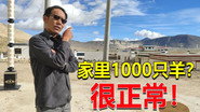 Episode 202