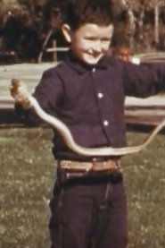 Poster Safety with Animals 1961
