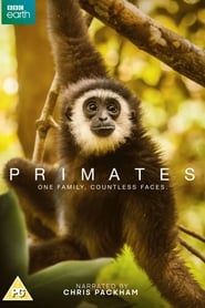 Primates постер