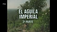 Episode 63