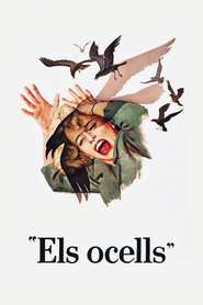 Els ocells