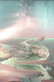 Poster Radiances III 2017