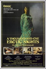 一千零一情欲之夜