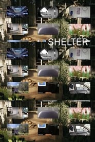 Shelter streaming