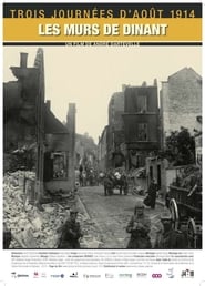 Trois journées d'août 1914, les murs de Dinant