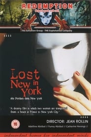 Lost in New York постер