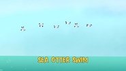 Sea Otter Swim