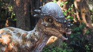 Andy and the Dino Tree Mystery