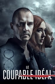 Le Coupable idéal Streaming