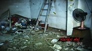 Episode 186