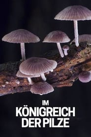 Poster Im Königreich der Pilze