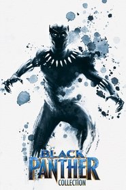 Full Cast of Black Panther Collection