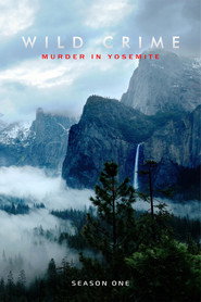 Wild Crime poster