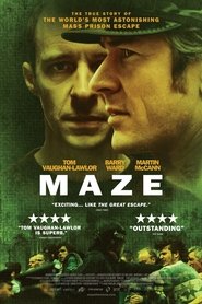 Maze (2017) Maze (2017)