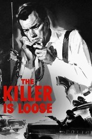 The Killer Is Loose постер