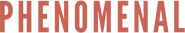 Phenomenal Media