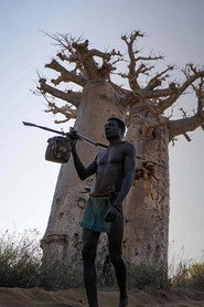 Madagascar: Guardians of the Forest