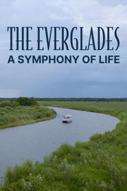 The Everglades: A Symphony of Life
