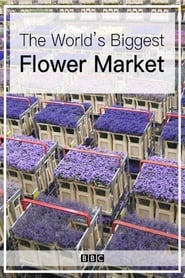 Poster The World's Biggest Flower Market 2016