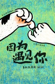 因为遇见你 (2024)