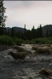 Hell Roaring Creek (2010)