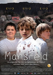 Poster for MansFeld